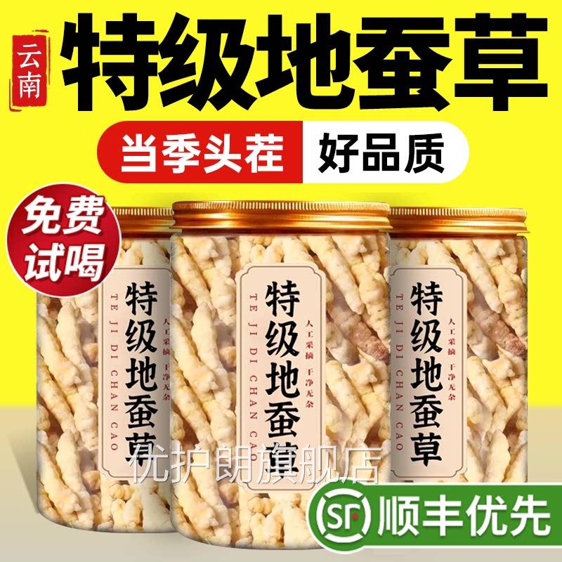 特级新鲜地蚕草野生中材宝塔菜白虫草药云南干货正品官方旗舰店zz