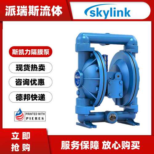 斯凯力气动隔膜泵LS15 AA-AA-T/N-TT-TT-00耐酸碱铝合金化工泵DN1