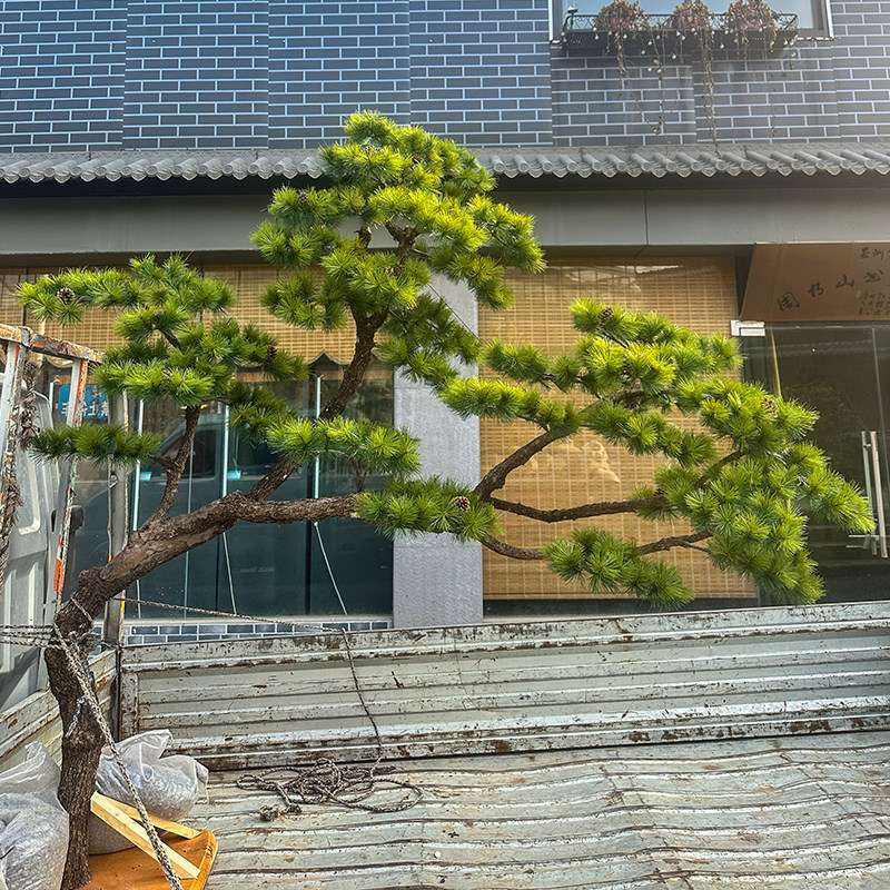 彷真迎客松室内造景设计假罗汉松树软装绿植搭配大型橱窗景观布置