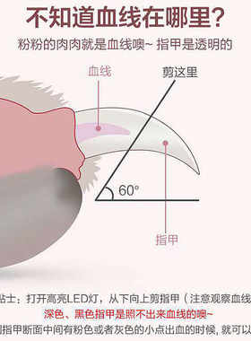 猫咪指甲剪照血线宠物剪指甲刀防抓神器兔子小猫大狗狗修甲器带灯