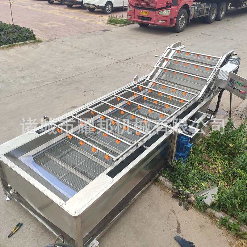 蔬菜清洗漂烫机 桑芽菜清洗漂烫冷却流水线 全套桑芽菜加工设备
