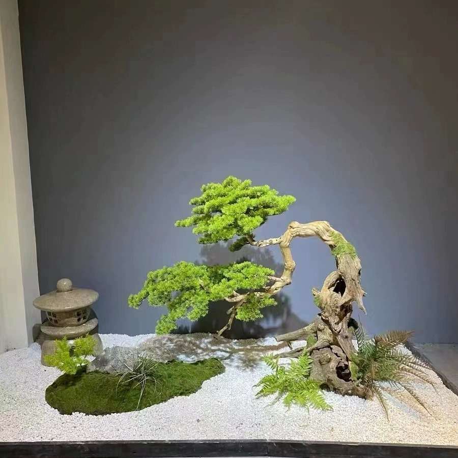 仿真青苔藓草皮微景观绿色造景场景橱窗展示盆景假苔藓粉草坪植物
