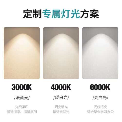 FSL佛山照明LED轨道射灯二线明装轨道灯服装店玉器吸顶25W导轨灯