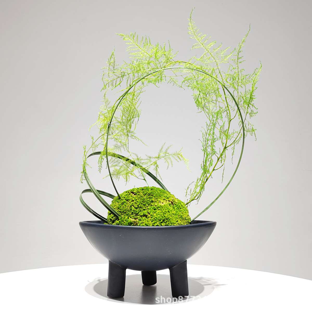 新中式绿植禅意永生苔藓仿真文竹盆景盆栽客厅餐桌现代装饰花摆件