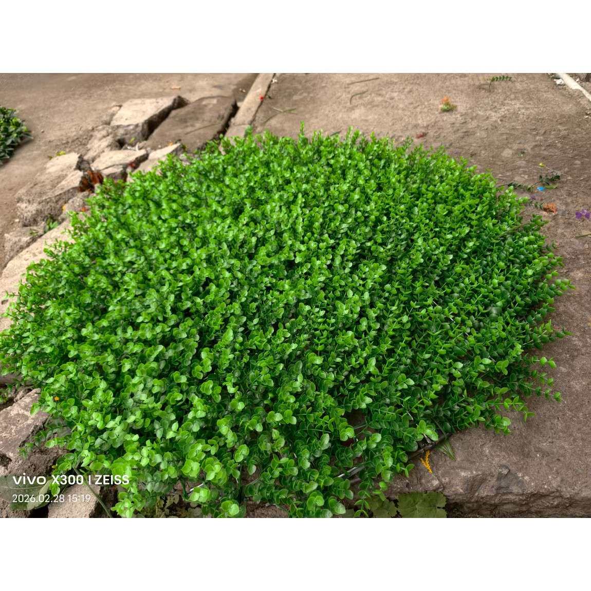 户外井盖遮挡装饰品遮丑摆件尤加利草丛草团草剁蒲草团草堆草垛