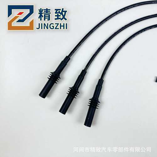 27738/IGN01261/IWA69038/TKA01173/TKA01300JEE~RAM/DODG~点火线