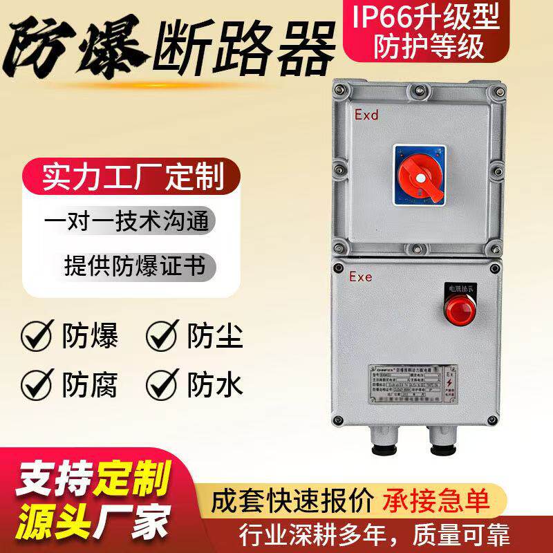 防爆断路器10A16A20A32a40A63A100A防爆配电箱380V2p3P4P漏电开关