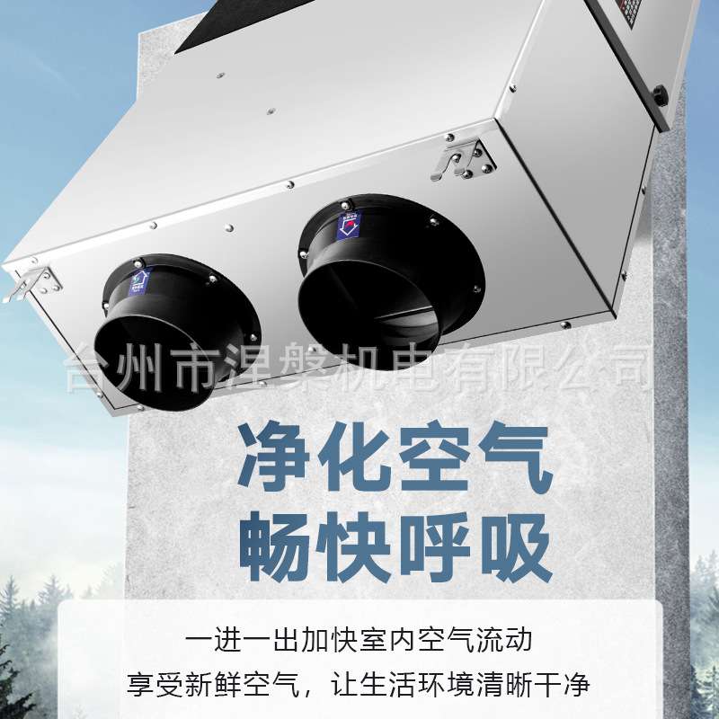 商用净化新风系统中央新风机冷热排送一体全热交换器家用静音换气
