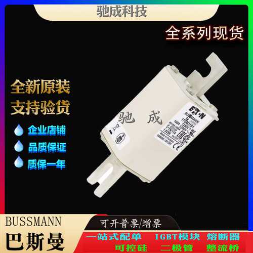 巴斯曼170M3190 170M3191 170M3192 厂家直供销售价优 快速保险丝