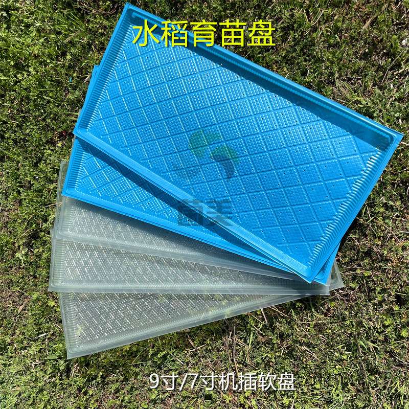 新款水稻育秧盘机插秧盘育苗盘平底盘9寸7寸加厚秧盘软盘