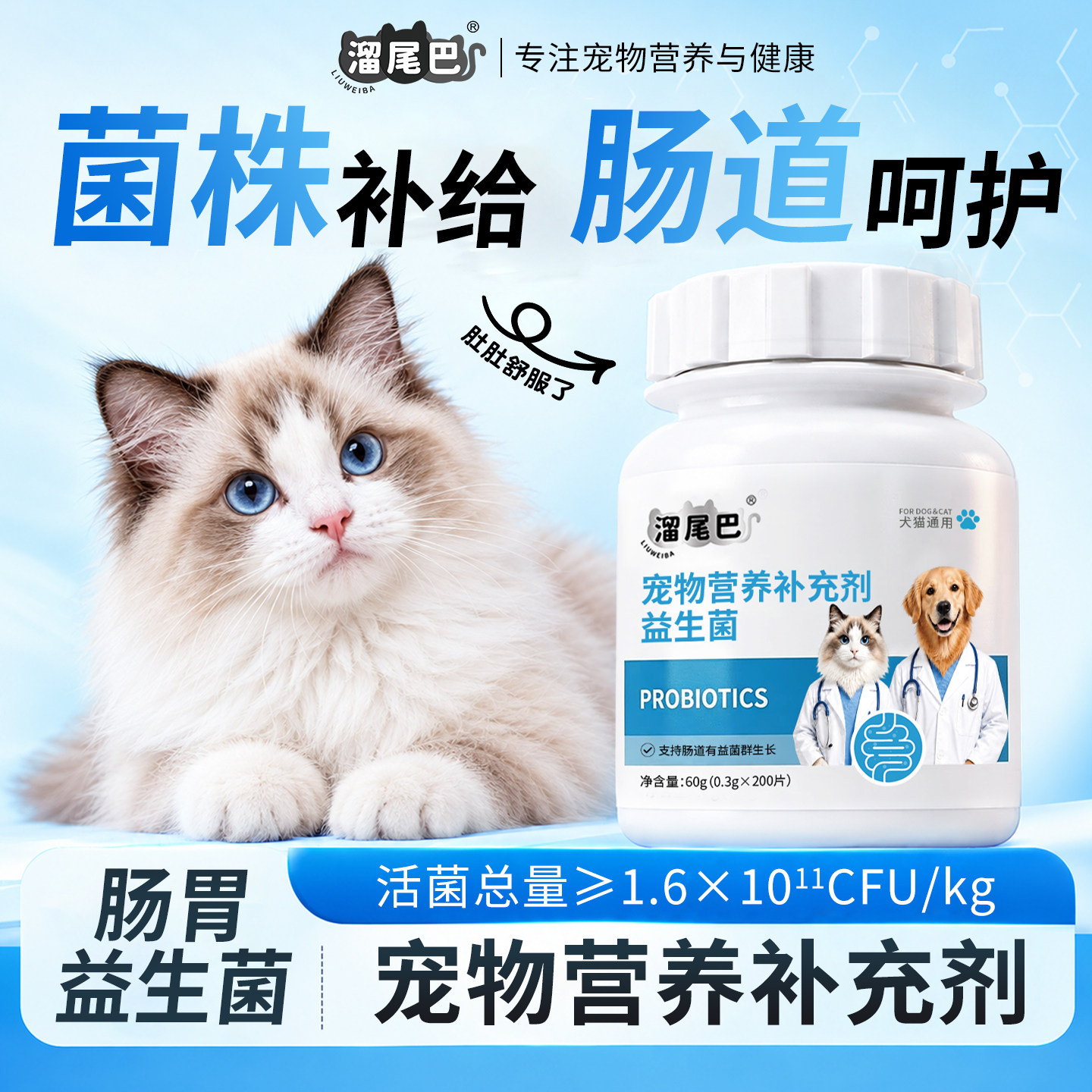 猫狗通用益生菌粉调理肠胃软便