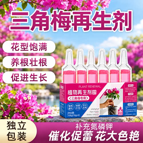 园艺绿植三角梅再生营养液叶面肥