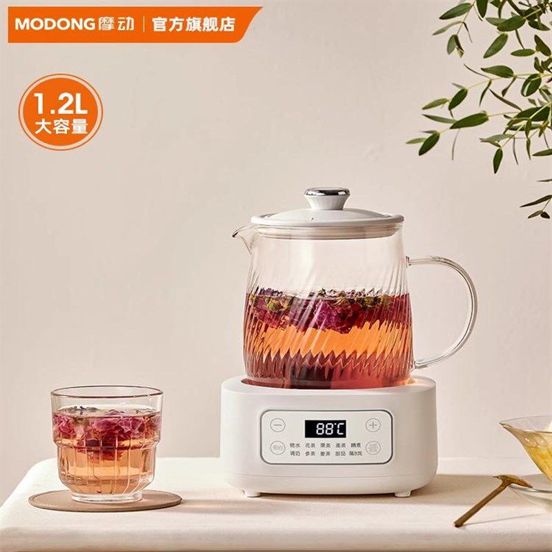 摩动新款全玻璃养生壶2024家用多功能煮茶器办公室烧水花茶绿茶