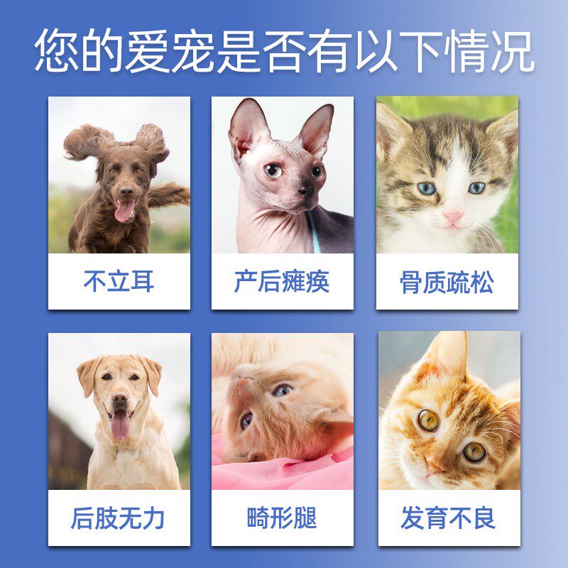 葡萄糖酸钙犬猫液体钙乳钙健骨补钙成犬幼猫犬猫产后补钙狗钙液图片