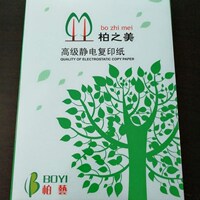 柏之美复印纸打印纸A4纸70G80G整箱5包2500张草稿纸广东省包邮