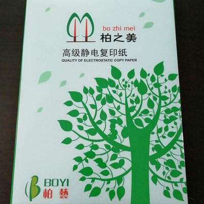 柏之美复印纸打印纸A4纸70G80G整箱5包2500张草稿纸广东省包邮