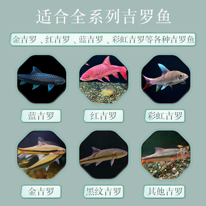 鱼玹玑吉罗鱼饲料红蓝吉罗高蛋白食发色增艳大小颗粒下沉型专用粮图片