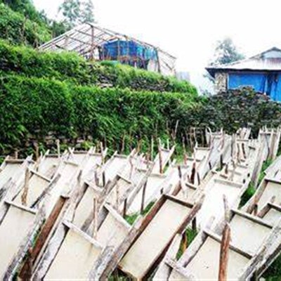 尼泊尔LOKTA 喜马拉雅山林植物手工纸本子笔记本手账本