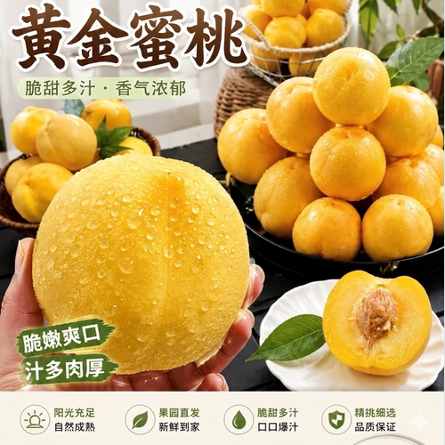 蒙阴油桃脆甜多汁现摘现发