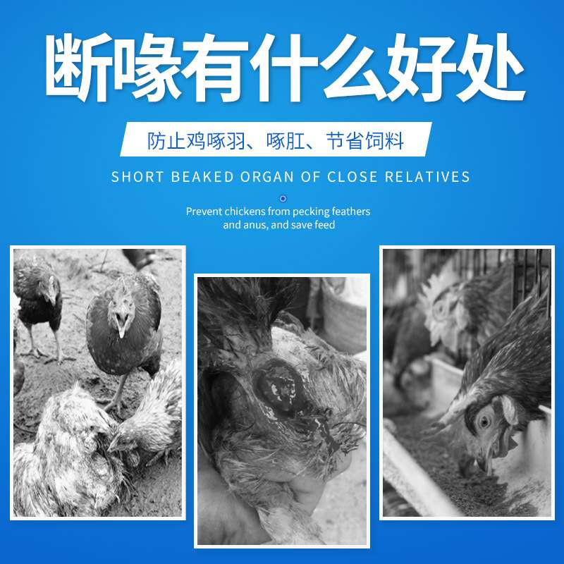 鸡断喙器全自动切嘴机鸡用断嘴器烫嘴机电动切咀机鸡鸭快速切嘴器