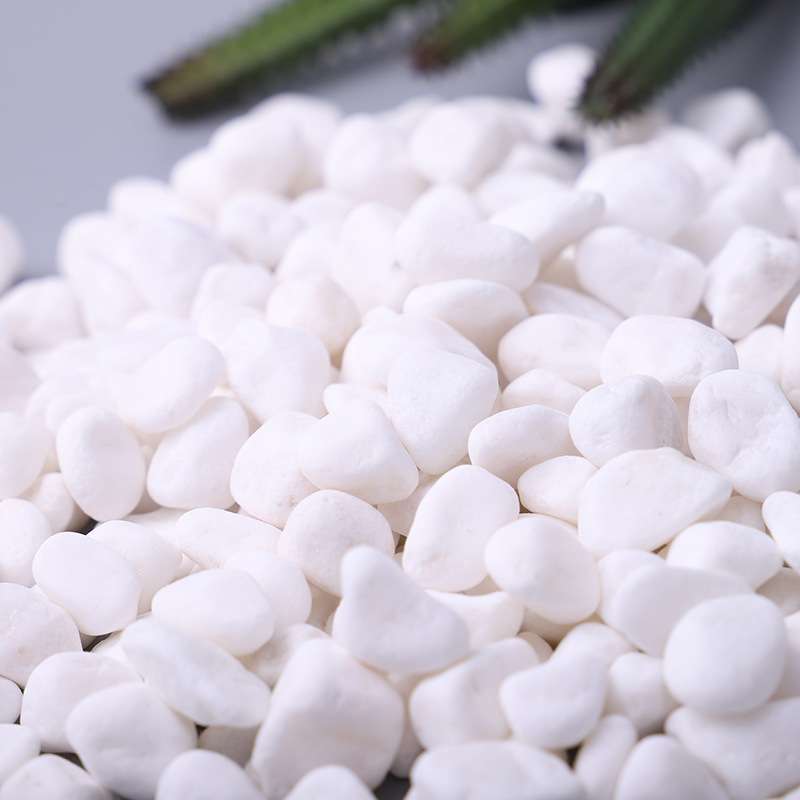 白色鹅卵石雪花白 园林造景园艺景观白色小石子盆栽多肉铺面石头