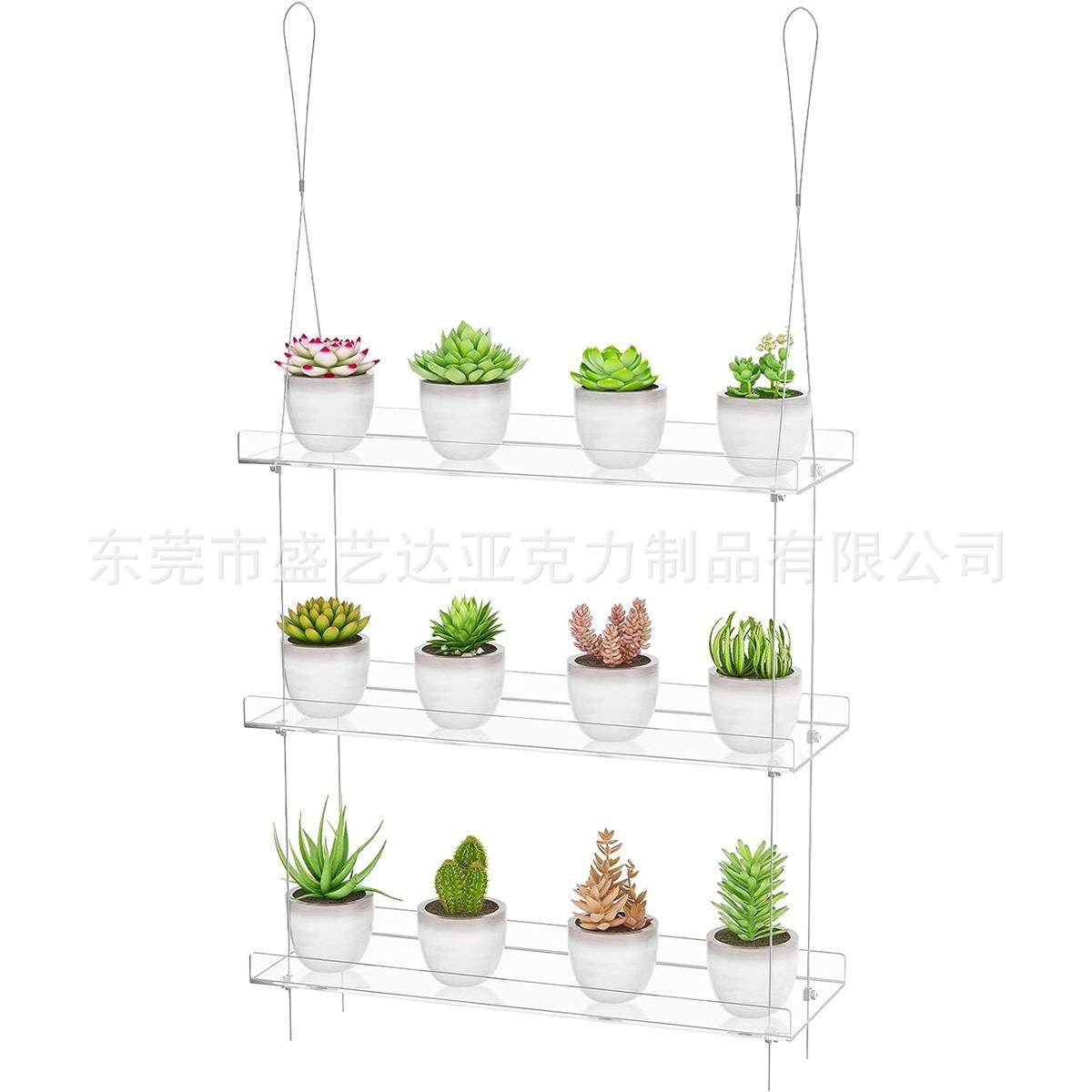 亚克力吊绳植物透明窗户植物架花盆吊架可拆置物架花瓶储物展示架