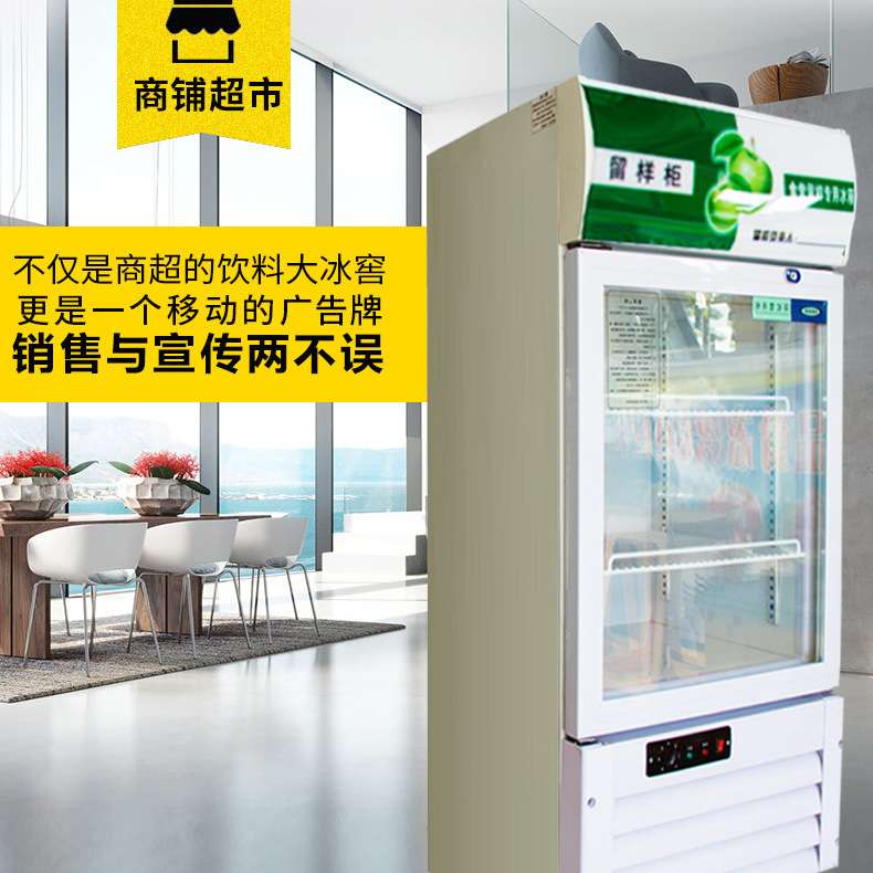 食品留样柜 幼儿园小型立式展示冷藏保鲜柜 学校酒店菜品留样柜