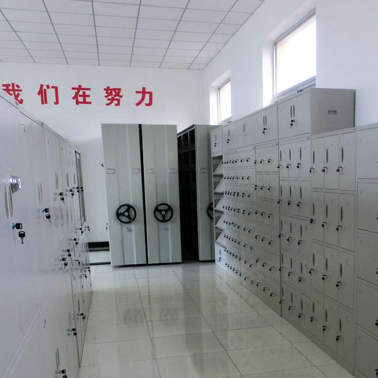 办公室文件柜中二斗落地资料铁皮柜档案收纳柜财务凭证柜移动办公
