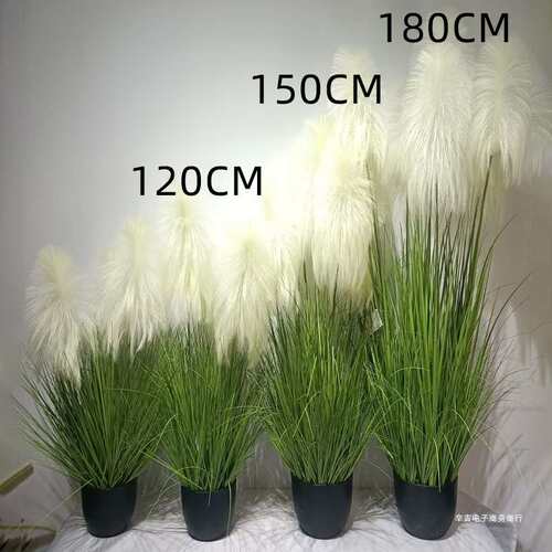 2025仿真狗尾巴草花芦苇草假草绿植毛毛虫猫尾草假花箱装饰造景观