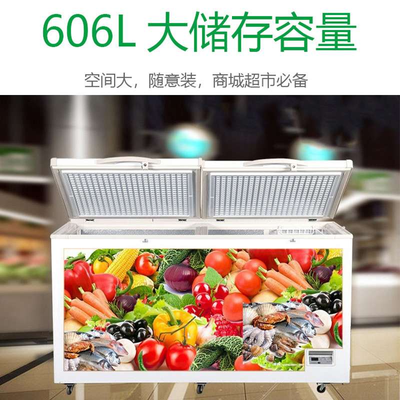 白雪冰箱商用冷柜BD/C-606FD家用小型卧式冰柜超市顶开门冷藏柜