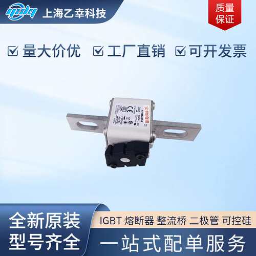 巴斯曼熔断器  170M4610 170M4611 170M4612 170M4613 170M4614