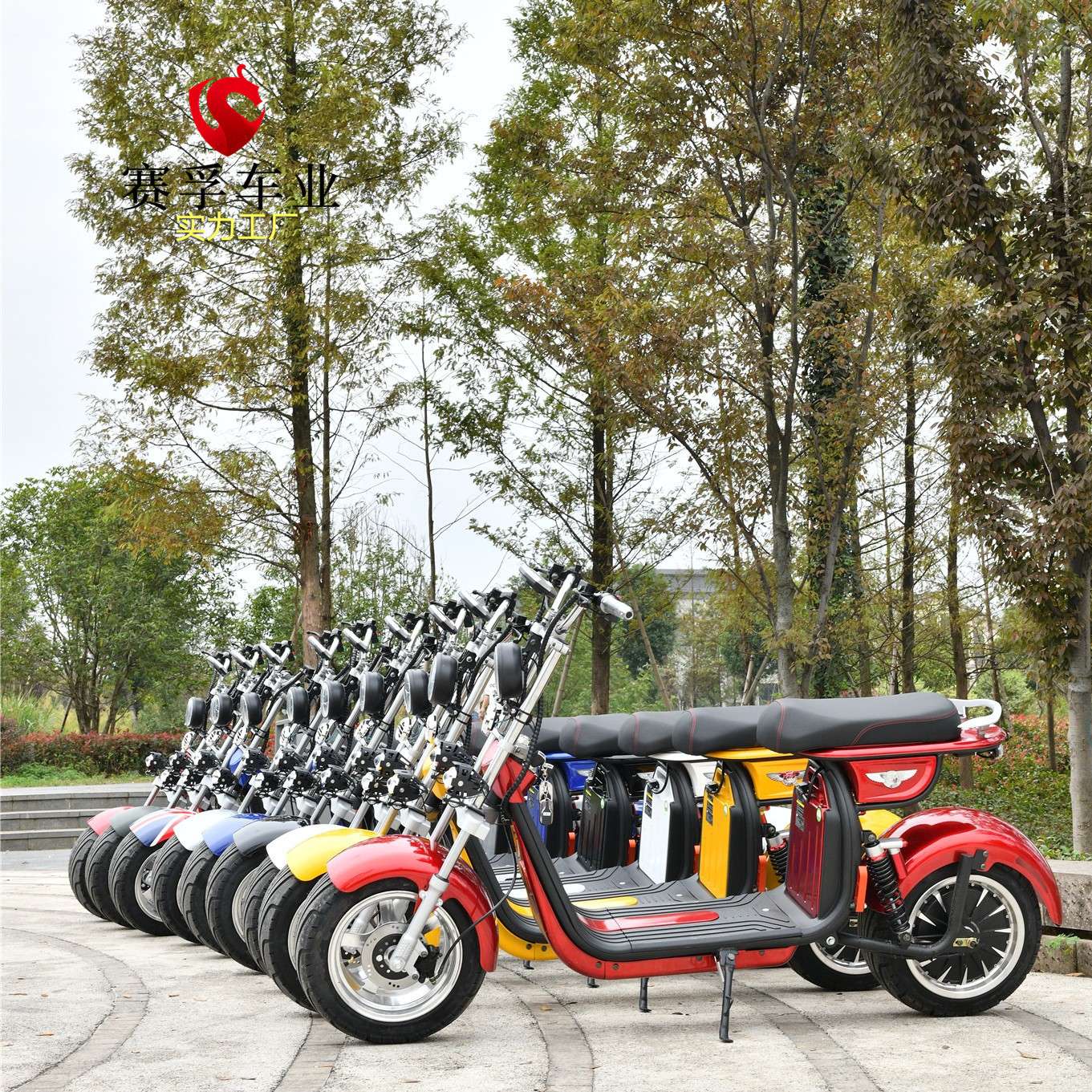 EEC citycoco scooter 45公里限速 1000W 1500W电动哈雷车