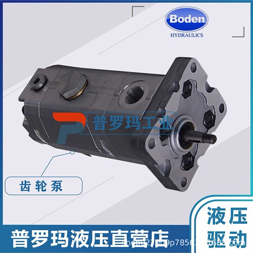 BODEN BHP2.6B0/BHP2.6A1/BHP2.6A2 DSR36/38/40/44-R 博顿齿轮泵