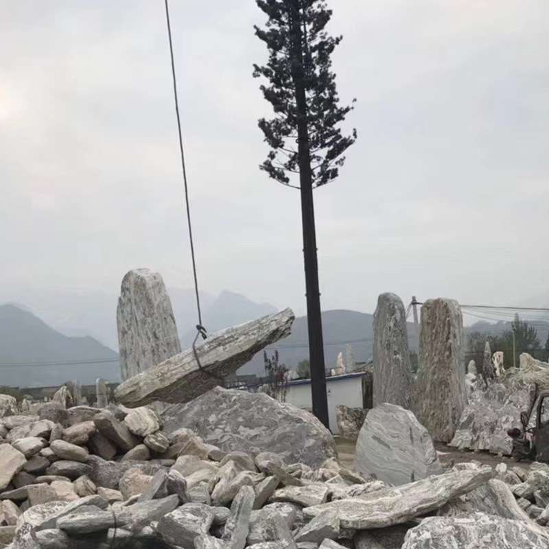 三亚厂家 雪浪石 天然小景观石 户外草地庭院泰山石园林组装片