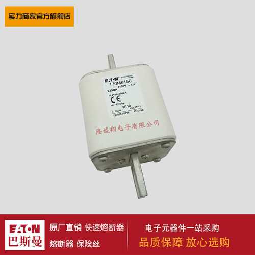 170M6148 6149 6150 6151 6016 6017 6018 6019 6020 6021熔断器