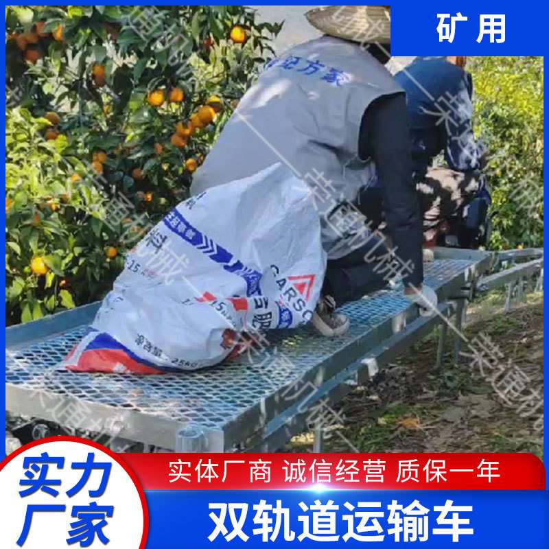 汽油机带爬坡搬运式小型货物自卸车双轨道园林山地自动息挂运输车