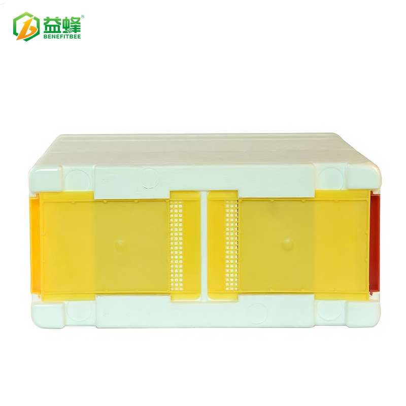 泡沫迷你育王箱跨境亚马逊爆款热卖蜂王交尾箱培育蜂箱授粉箱单层