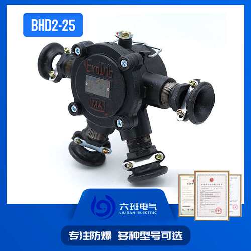 矿用隔爆型接线盒BHD2-25/660(380)-2T/3T/4T三通低压电缆接线盒