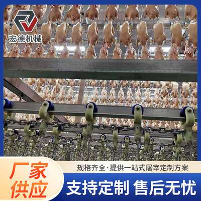 淘汰蛋鸡屠宰脱毛一体机 时杀500只鸡宰杀流水线 立式家禽浸烫池