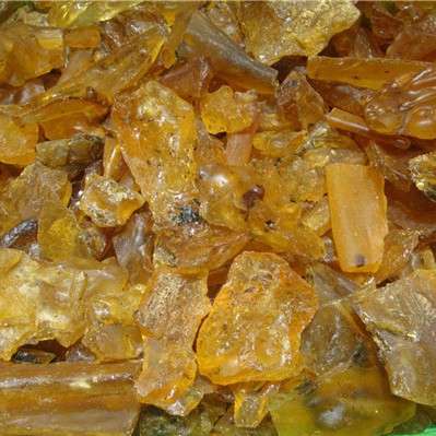 天然柯巴树脂原石 琥珀带昆虫