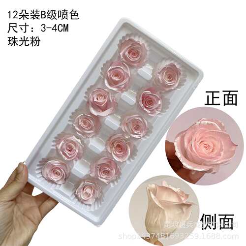 【B级3-4CM喷色永生玫瑰】珠光色玫瑰双色渐变色玫瑰永生玫瑰花