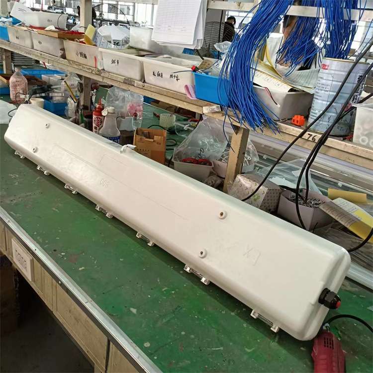 双管防爆防腐全塑荧光灯工程塑料材质防爆灯具日光灯管T8防水