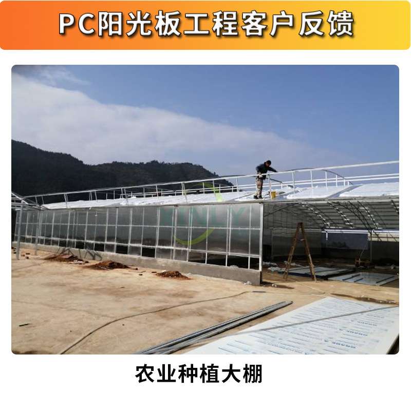 防雾滴大棚阳光板PC塑料板四层蜂窝卡布隆中空聚碳酸酯UV板打样快