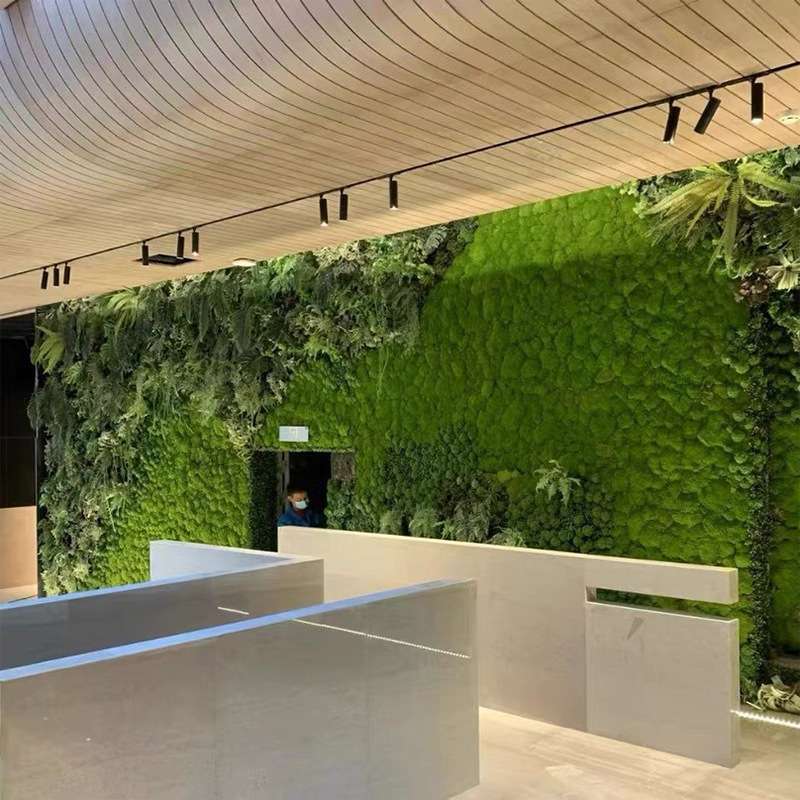 仿真苔藓人造绿色假青苔造景布置摆件铺面苔藓装饰薇景观拼接草坪