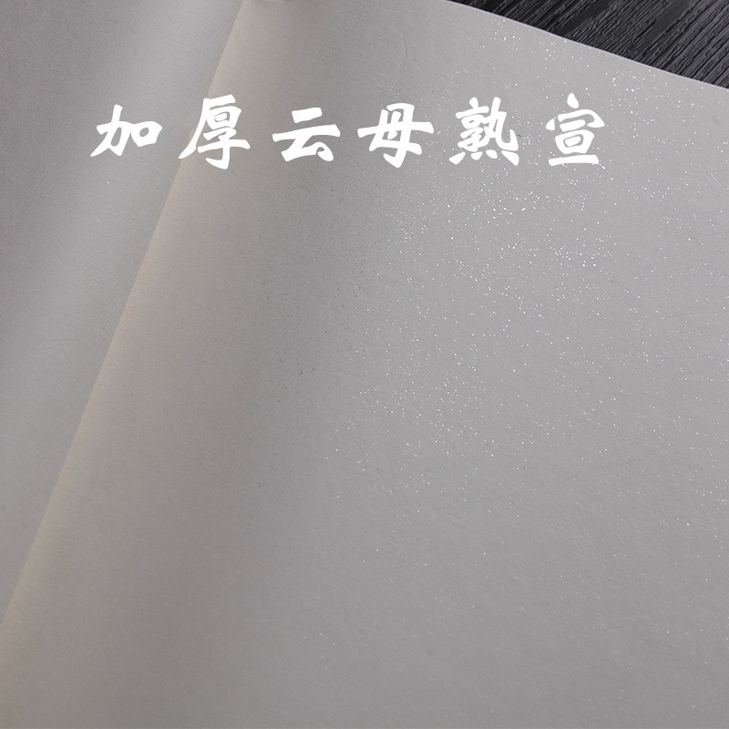 安徽熟宣纸精品四尺六尺云母蝉翼矾宣仿古熟宣工笔画小楷书法专用