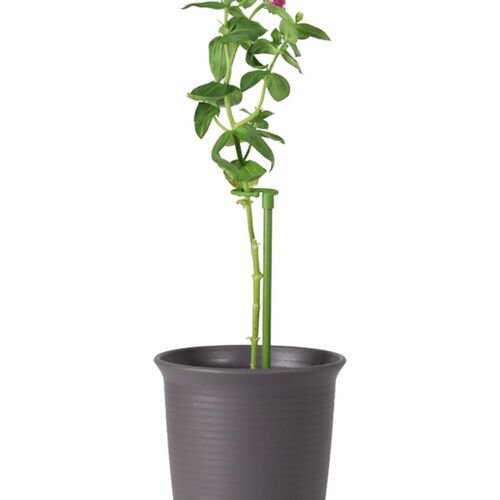 植物花卉支撑杆园艺朱顶红绣球蝴蝶兰防倒伏固定架子爬藤牵引支架