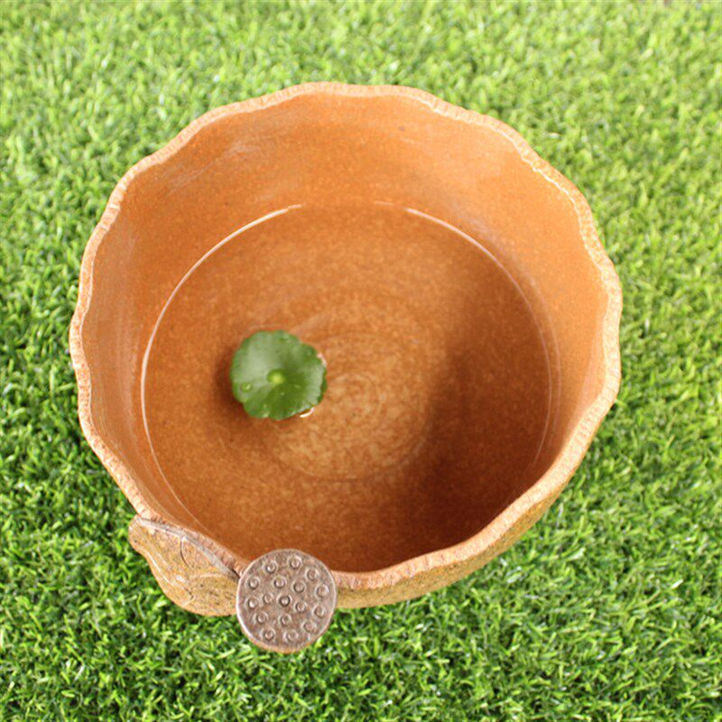 室内桌面茶洗陶瓷无孔水养铜钱草陶罐粗陶创意多肉花盆拼盘包邮