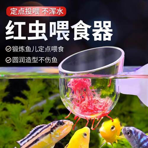 鱼缸喂食器红虫杯小型水族箱鱼喂食圈漂浮固定喂鱼器投食圈喂食管