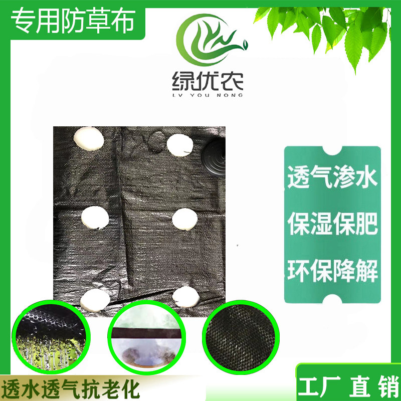 定做打孔农用除草地膜透气透水保湿保肥耐用抗老化防草布厂家直发
