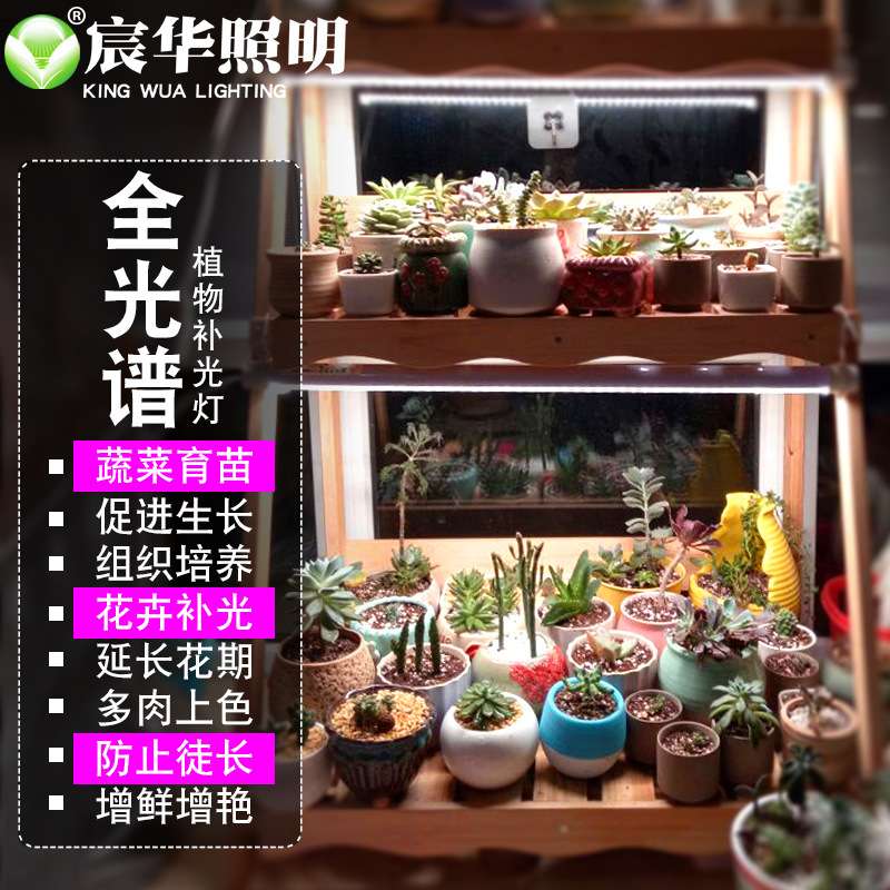 深圳植物灯厂家 0.3米10W多肉植物补光灯全光谱LED防水植物灯